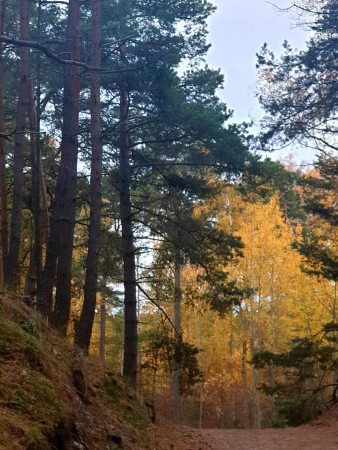 Lazur Park - Leilighet *